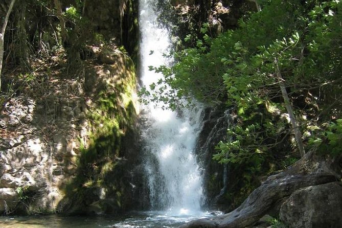 Rincón Waterfalls Experience - Traditional Lunch at Hacienda Guachipelin