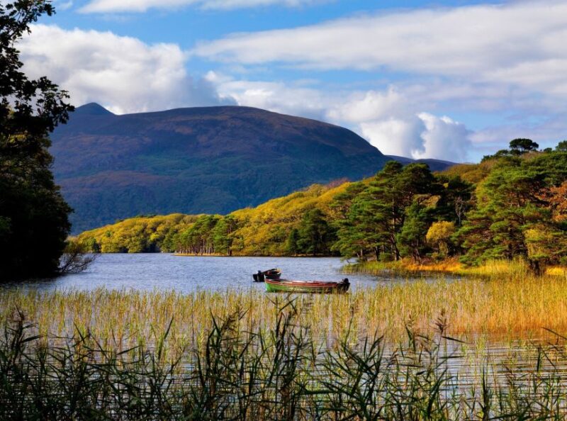 Ring of Kerry Full-Day Tour From Limerick - Inclusions and Exclusions Details
