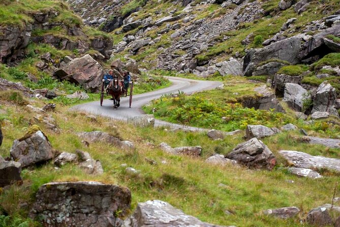 Ring of Kerry & Killarney Tour Departing From Cork City. Guided. Full Day. - Pricing Details