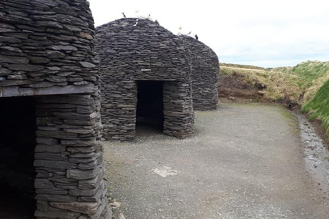 Ring of Kerry Private Day Tour - Positive Guest Reviews