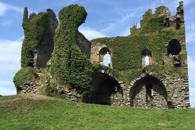 Ring of Kerry Private Tour From Killarney - Customer Feedback and Ratings