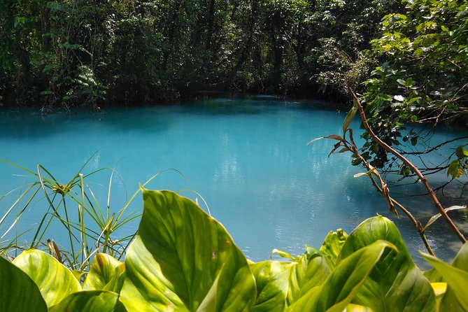 Rio Celeste Waterfall & Sloth Encounter Tour - Tour Overview