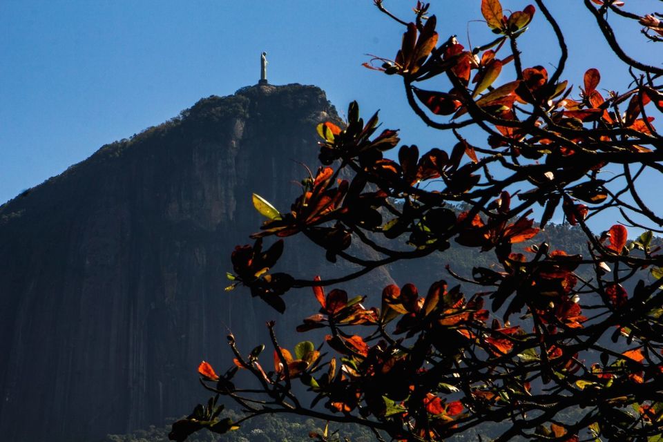 Rio De Janeiro: Guided Bike Tours in Small Groups - Location and Accessibility