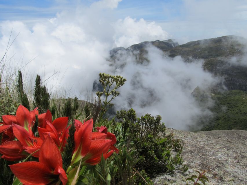 Rio De Janeiro: Serra Dos Órgãos National Park Hiking Tour - Visitor Recommendations