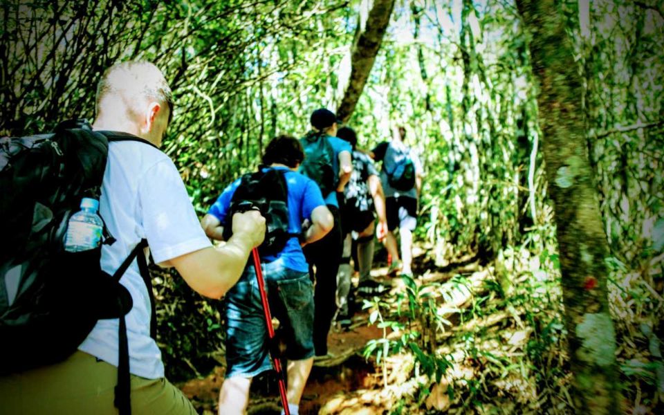 Rio De Janeiro: Tijuca Forest Challenge Hike Full-Day Trip - Reservation and Cancellation Policy