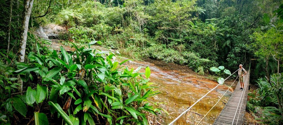 Rio De Janeiro: Tijuca Forest Challenge Hike Full-Day Trip - Frequently Asked Questions