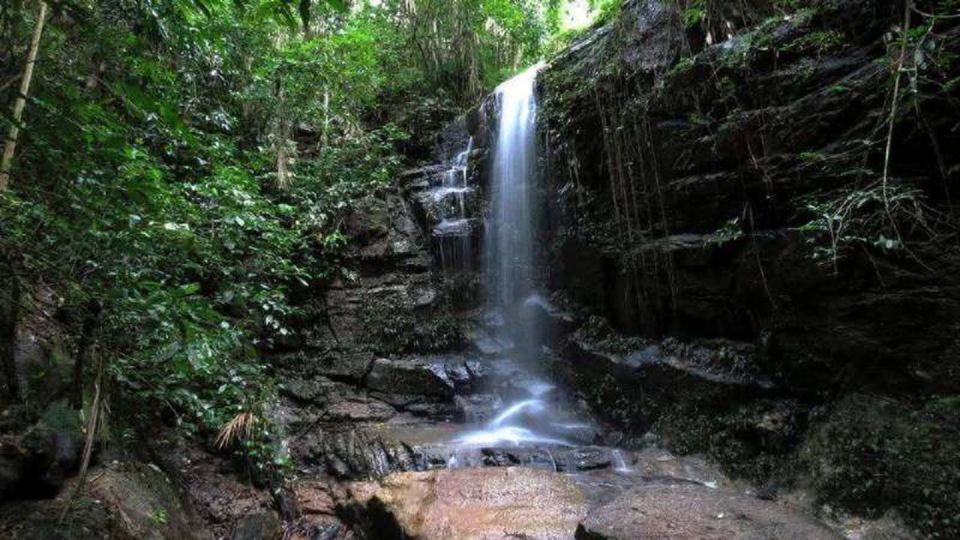 Rio De Janeiro: Tijuca National Park Ecotour - Itinerary and Locations