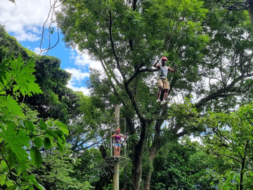 Rio De Janeiro: Zip Lining and Canopy Tree Tour - Detailed Activity Description