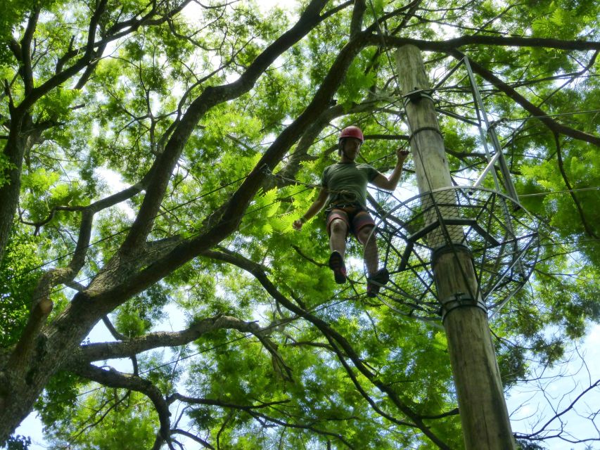 Rio De Janeiro: Zip Lining and Canopy Tree Tour - What to Expect