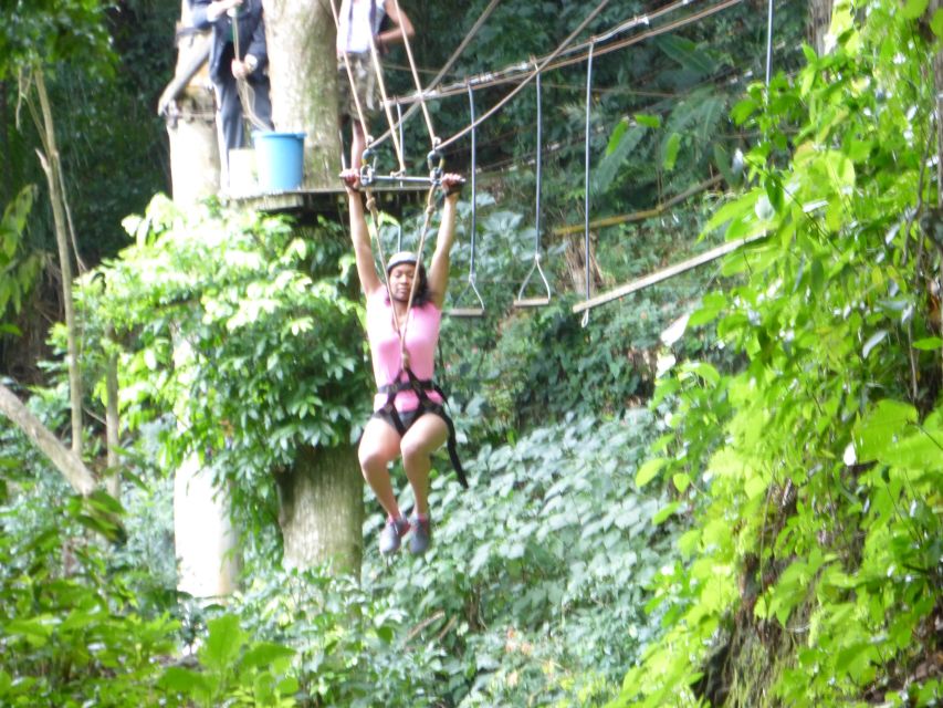 Rio De Janeiro: Zip Lining and Canopy Tree Tour - Nearby Attractions