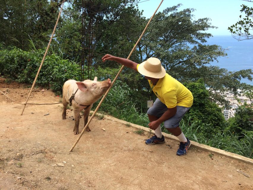 Rio: Favela Tour - Hiking in Babilônia and Chapéu Mangueira - Frequently Asked Questions