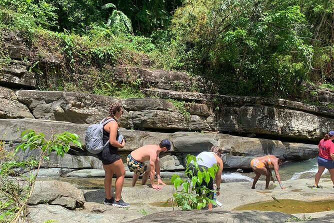 RIO GRANDE AREA PICKUP: Private Full-day Tour in Rainforest and Luquillo Beach - Health and Accessibility