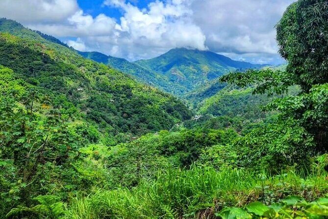 Rio Grande Bamboo Rafting Tour from Port Antonio - FAQ