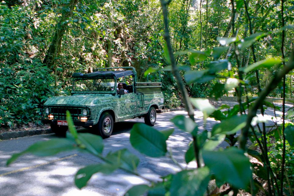 Rio: Half-Day Jeep Tour at Floresta Da Tijuca - Frequently Asked Questions