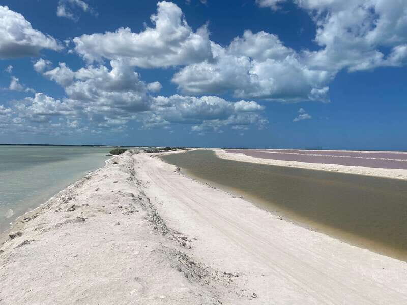 Rio Lagartos and Las Coloradas: EcoSafari Flamingo classic - An Authentic Yucatán Wildlife Adventure