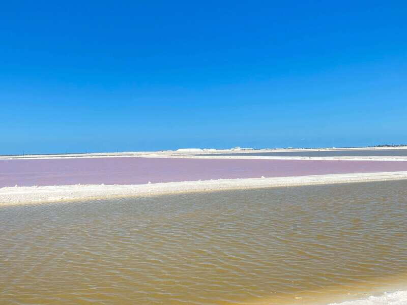 Rio Lagartos and Las Coloradas: EcoSafari Flamingo classic - FAQ
