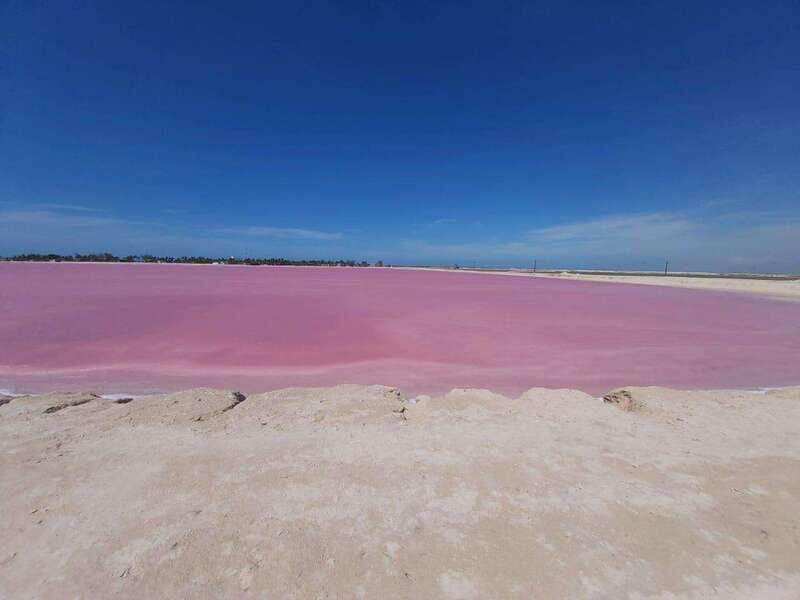 Rio Lagartos and Las Coloradas: EcoSafari Flamingo Luxury - Exploring Río Lagartos and Las Coloradas: A Natural Wonder