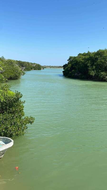 Río Lagartos and Las Coloradas: Natural Experience - What to Expect: Practical Details