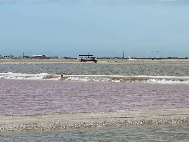 Río Lagartos and Las Coloradas: Natural Experience - Authenticity and Eco-Consciousness