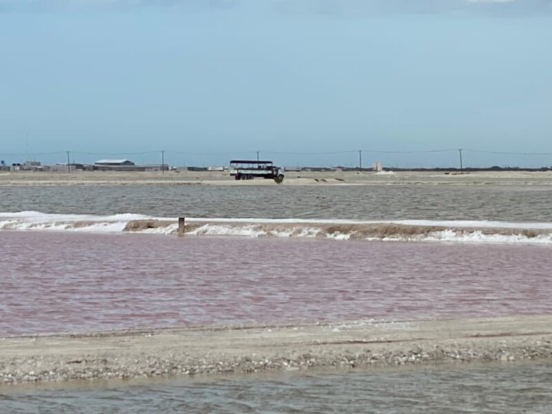 Río Lagartos and Las Coloradas: Natural Experience - Final Thoughts