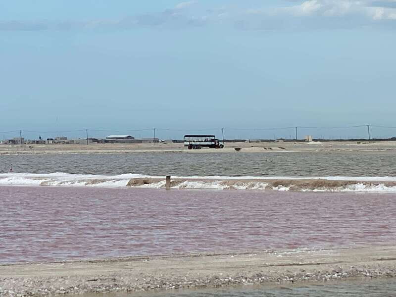 Río Lagartos and Las Coloradas: Natural Experience - FAQ