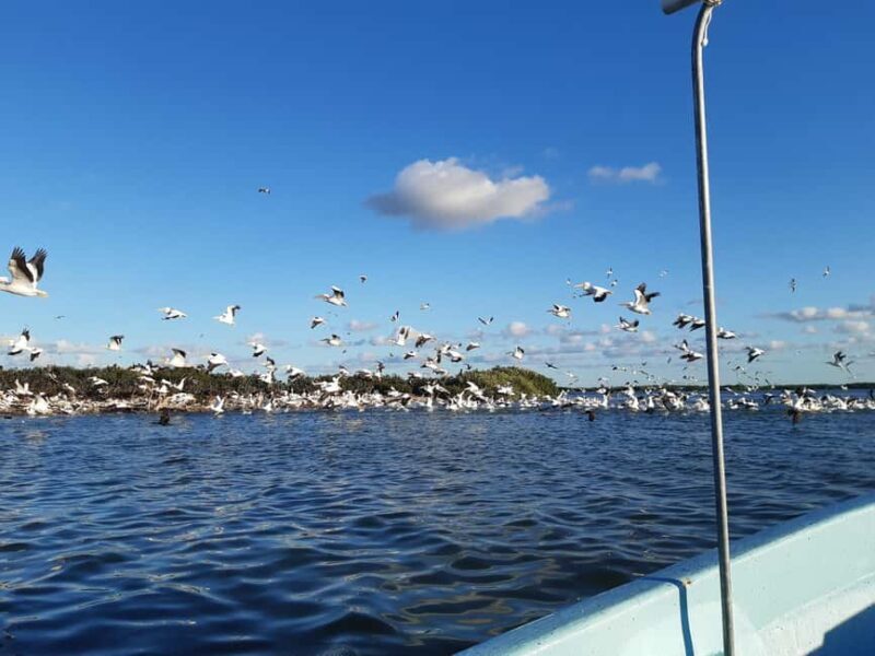 Rio Lagartos and San Felipe: Cerritos Island, adventure tour and Mayan culture. - Key Points