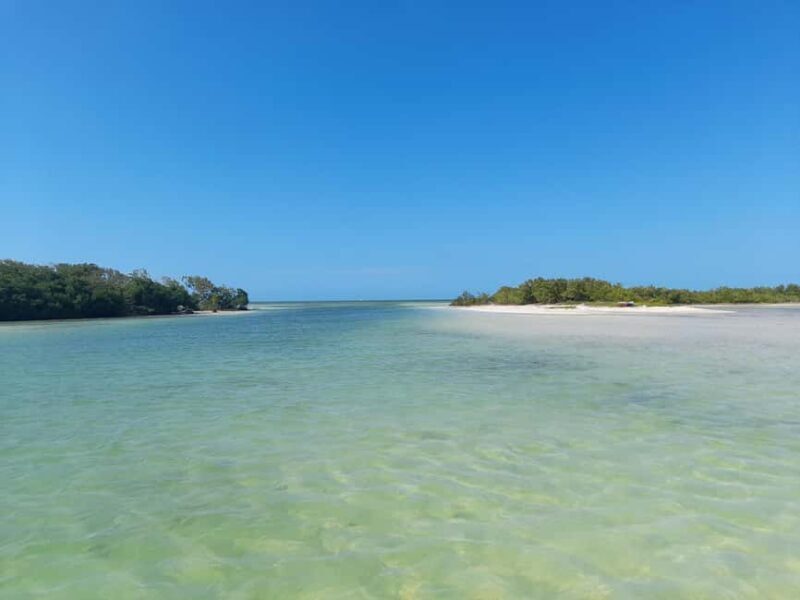 Rio Lagartos and San Felipe: Cerritos Island, adventure tour and Mayan culture. - A Deep Dive into the Tour Experience