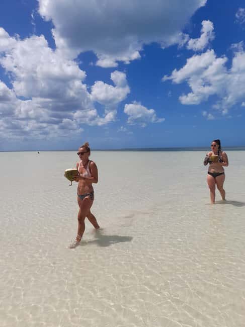 Rio Lagartos and San Felipe: Cerritos Island, adventure tour and Mayan culture. - Who Will Love This Tour?