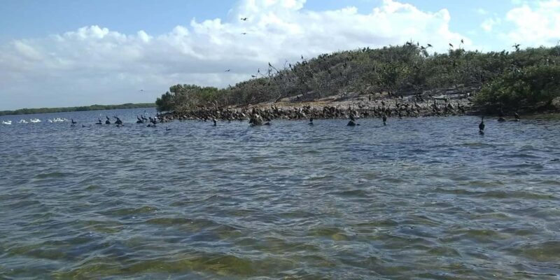 Rio Lagartos and San Felipe: Cerritos Island, adventure tour and Mayan culture. - Final Thoughts