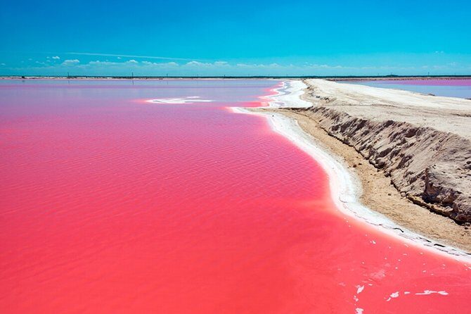 Rio Lagartos Biosphere + Coloradas Gorgeous Pink Lake! Transportation from Tulum - The Sum Up