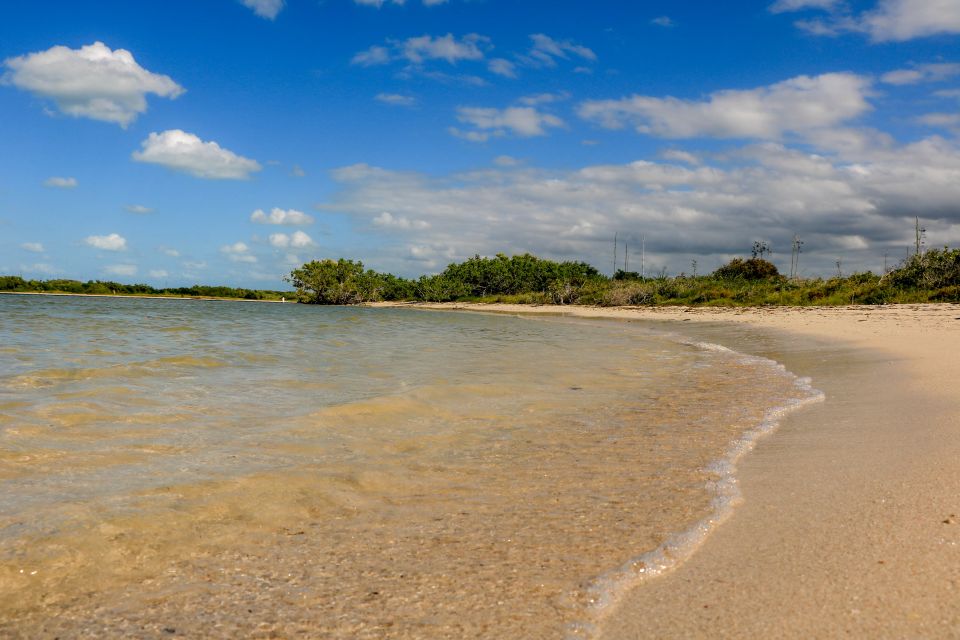 Rio Lagartos: Boat Tour Through the Nature Reserve - Spotting Crocodiles in the Mangroves
