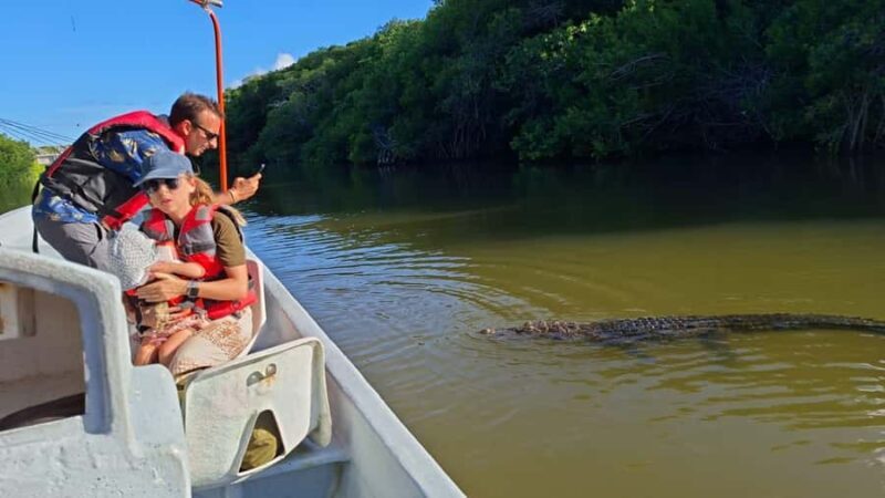 Río Lagartos & Las Coloradas Boat Tour: Flamingos, Mangroves - Who Will Enjoy This Tour?