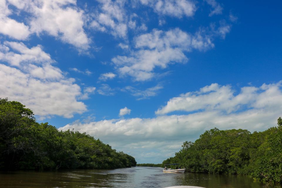 Rio Lagartos: River Boat Tour With Natural Mayan Bath - Rio Lagartos Admission Details