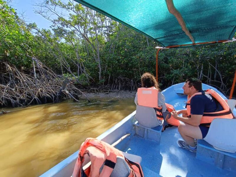 Rio Lagartos: Tour and Gastronomy - Key Points