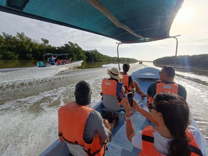 Rio Lagartos: Tour and Gastronomy - The Sum Up