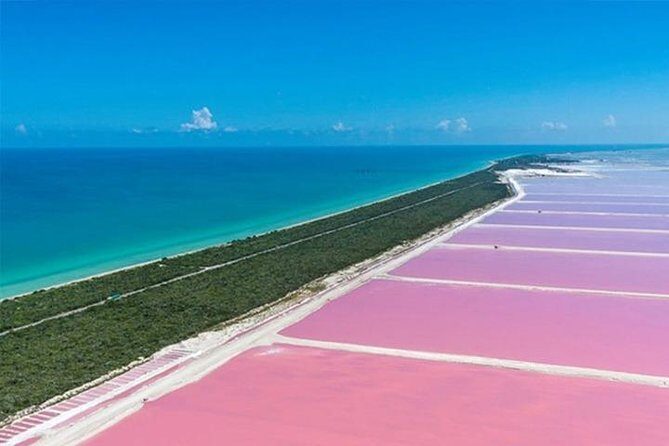 Río Lagartos y Las Coloradas Private Tour from Merida - The Sum Up