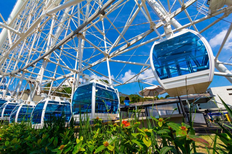 Rio: Museum of Tomorrow, Yup Star & Olympic Boulevard - Key Points