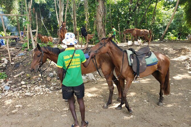 Rio Nuevo Jamaica Private Rafting Horse Ride Adventure - An In-Depth Look at the Tour Itinerary
