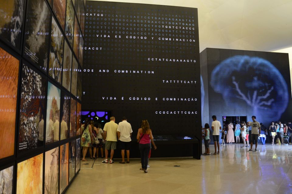 Rio: Olympic Boulevard, Museum of Tomorrow & History Tour - Key Attractions