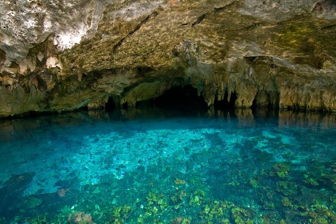 Rio Secreto Underground River Tour With Crystal Caves - Accessibility Requirements