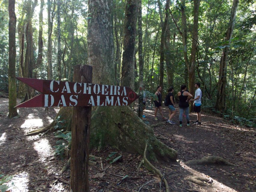 Rio: Tijuca Forest Historical Hike & Cachoeira Das Almas - Visitor Feedback
