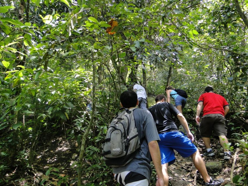 Rio: Tijuca Forest Historical Hike & Cachoeira Das Almas - What to Bring