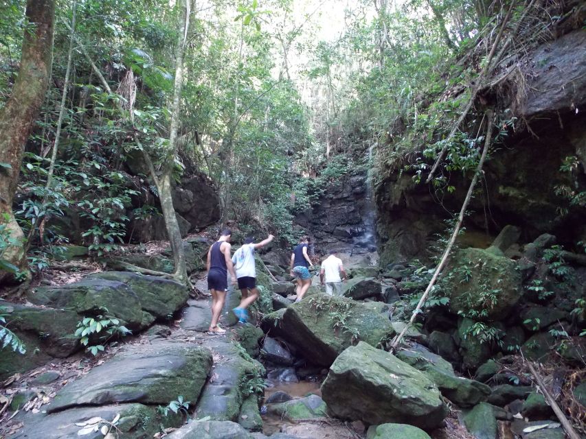Rio: Tijuca Forest Historical Hike & Cachoeira Das Almas - Best Time to Visit