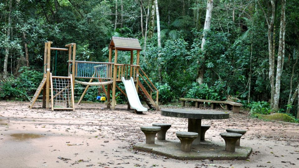 Rio: Tijuca Forest Historical Hike & Cachoeira Das Almas - Additional Tips