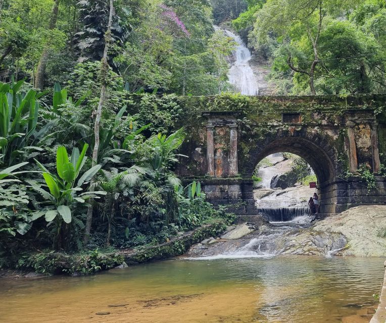 Rio: Tijuca National Park Guided Hike With Hotel Transfers - Transportation and Logistics