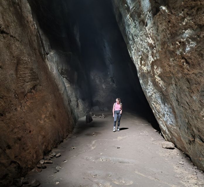 Rio: Tijuca National Park Guided Hike With Hotel Transfers - Conservation Efforts