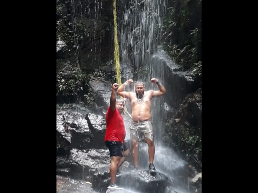 Rio: Tijuca National Park Private Guided Hike With Transfer - Key Points