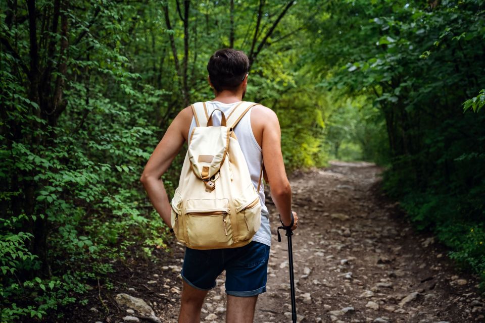 Rio: Tijuca National Park Private Guided Hike With Transfer - Experience Highlights