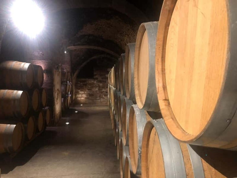 Rioja Day Tour: Explore Three Wineries with Tastings - An In-Depth Look at the Rioja Day Tour