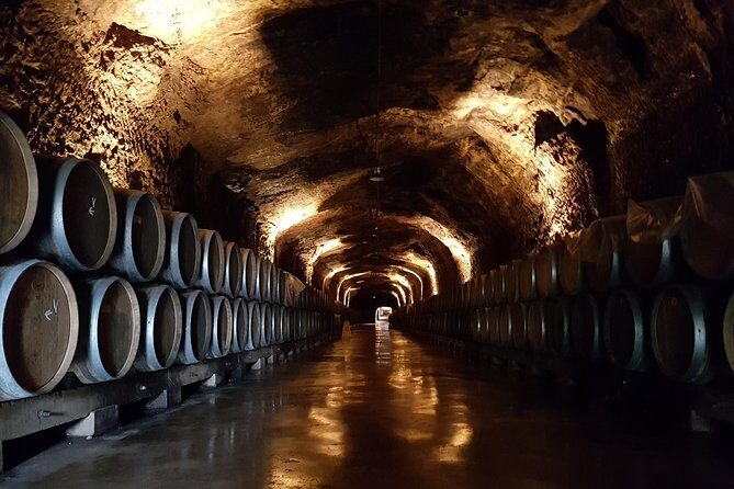 Rioja Full Experience Tour from San Sebastian with Lunch - What’s Included and What to Expect